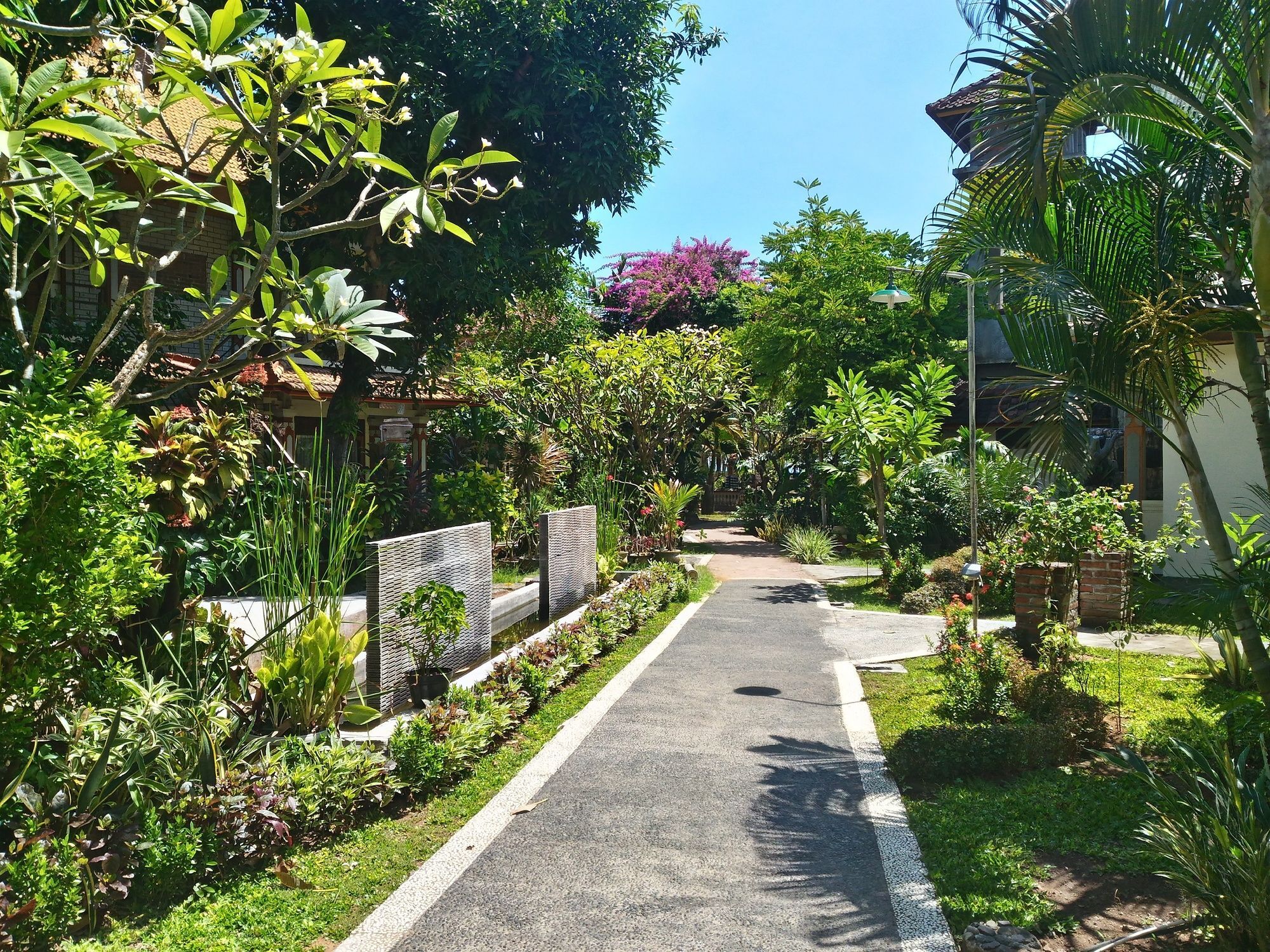 Pabean Buleleng Lovina Beach Hotel מראה חיצוני תמונה